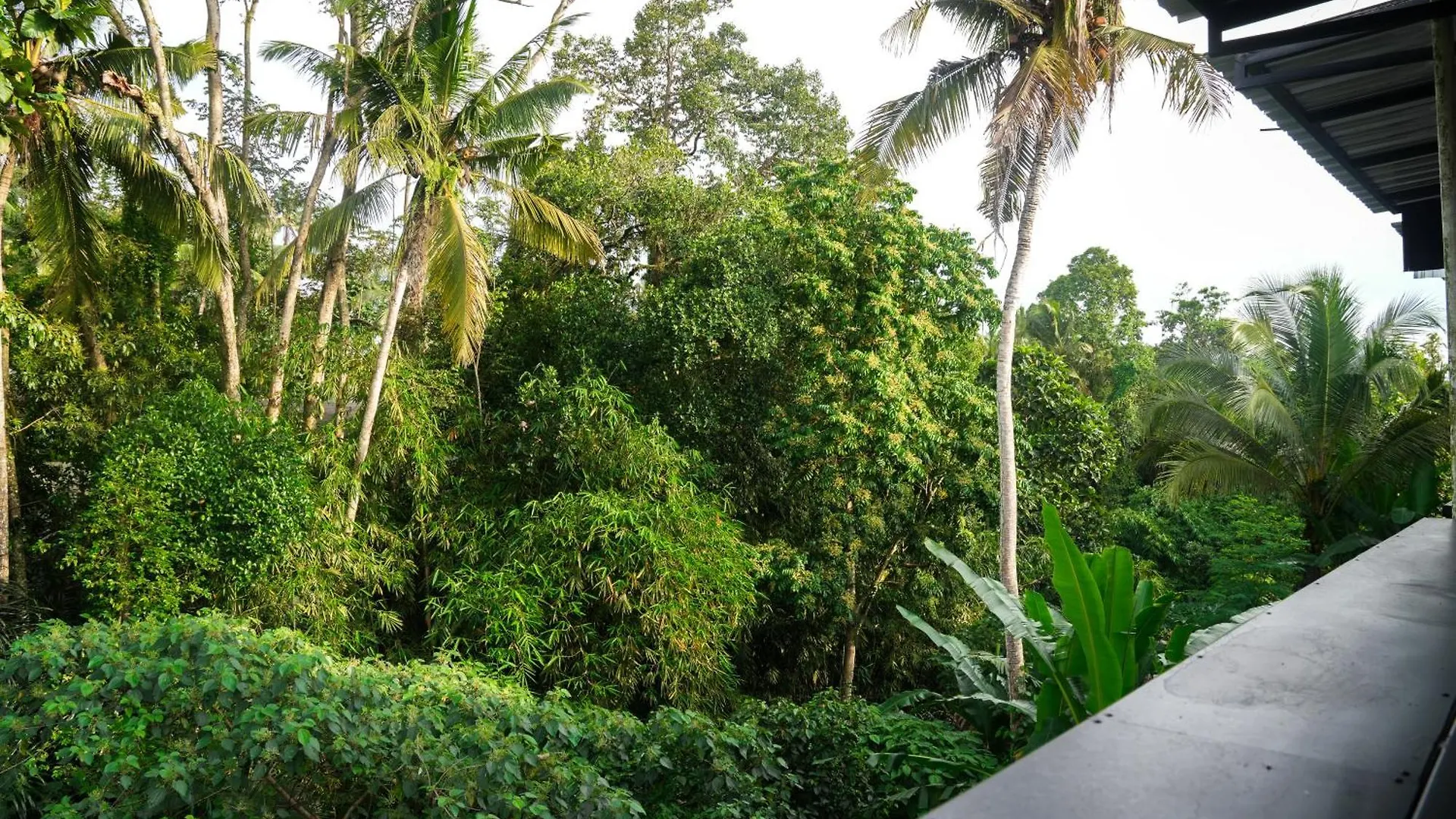 Hotel House Of Semar Sari Ubud 0*,