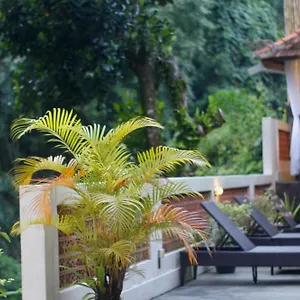 Hanaka Riverside Guest house